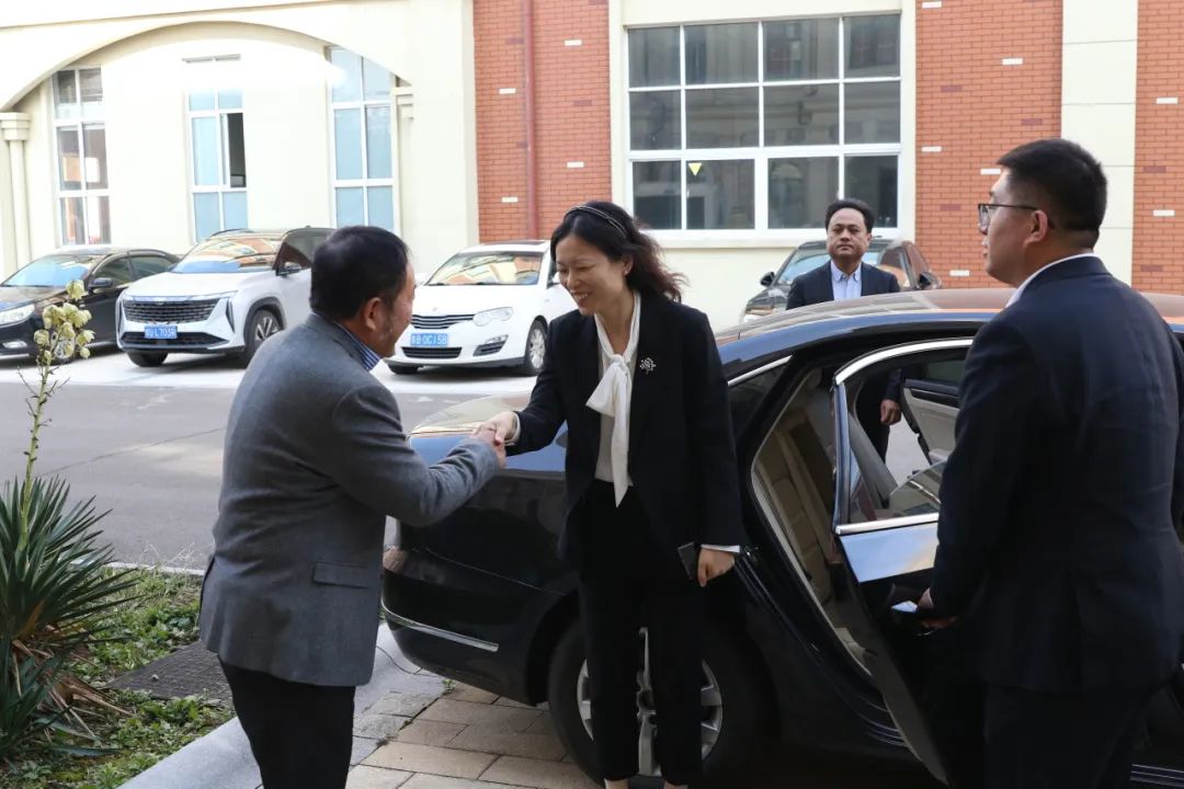 Il leader del nuovo distretto della costa occidentale di Qingdao, Xue Wenqian, ha visitato Tianyi Muzu per ricerche e orientamento