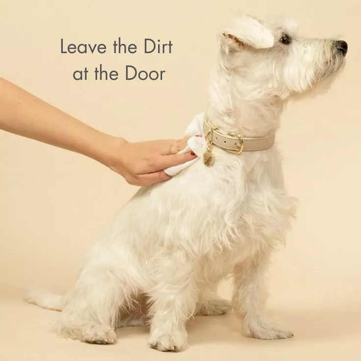 Le salviette per animali domestiche sono sicure per gli animali domestici?