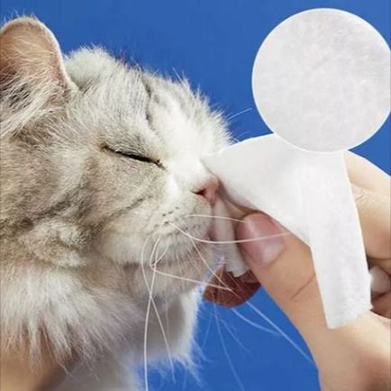 Panno per pulizia per animali domestici ： gadget per cure per l'igiene per animali domestici