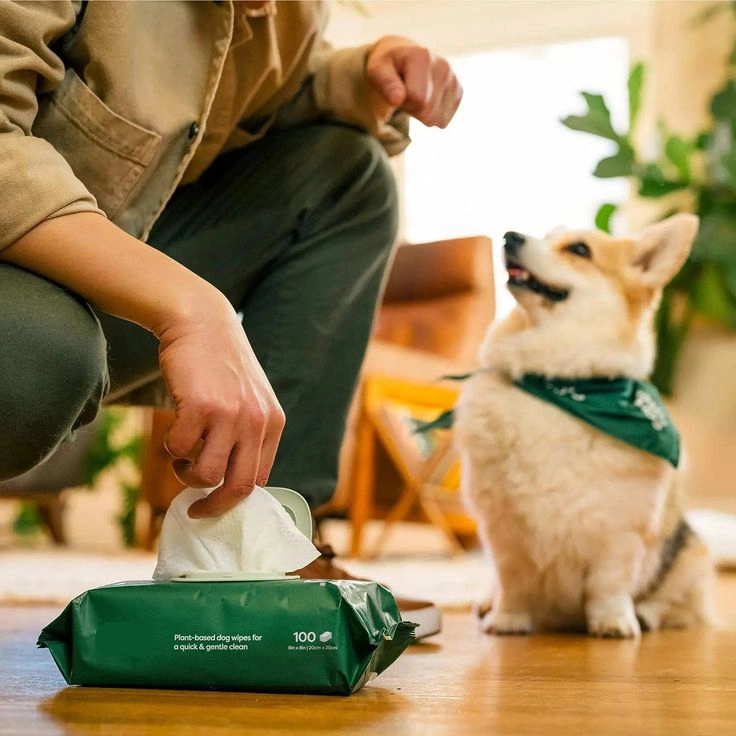 Salviette per la pulizia degli animali domestici