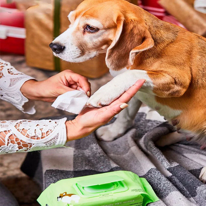 Viaggi di salviette per animali domestici